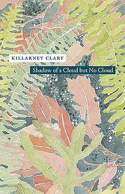 Shadow Of A Cloud But No Cloud by Killarney Clary Paperback