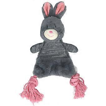 Crunchy Bunny With Rope Dog Toy