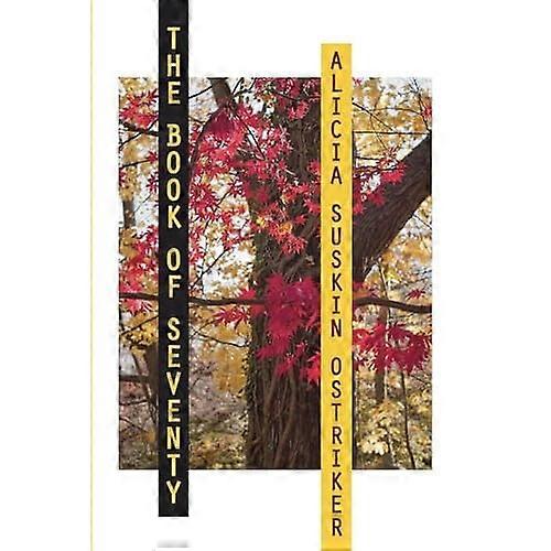 Das Buch der siebziger