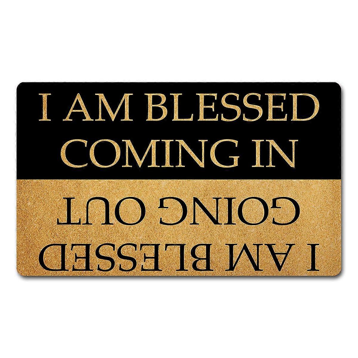 Funny Doormat for Entrance Way Indoor 17 in X 30 in
