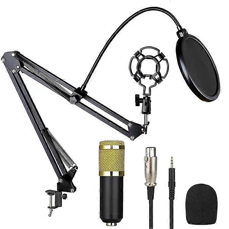 Professional Studio Live Streaming Broadcasting Recording Condenser Microphone Stand Pop Filter Kit
