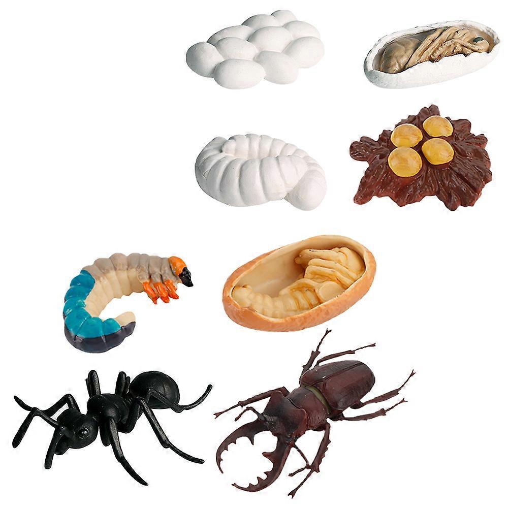 Realistic Worker Ants Model Toy with 16Pcs Insect Growth Cognitive Display