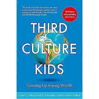 Third Culture Kids The Experience of Growing Up Among Worlds The original classic book on TCKs