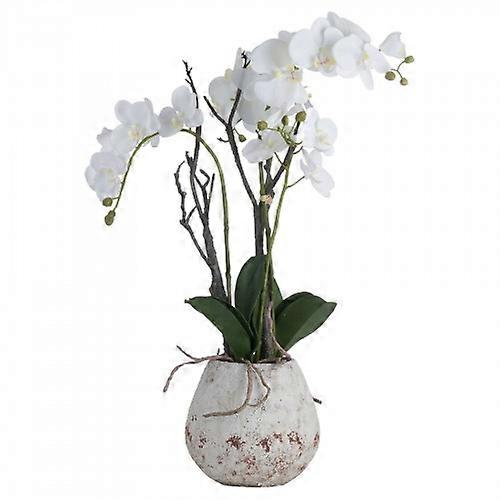 Hill Interiors Orchid In Stone Pot