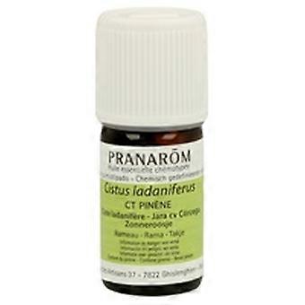 Jara Corsica essential oil 5 ml of essential oil