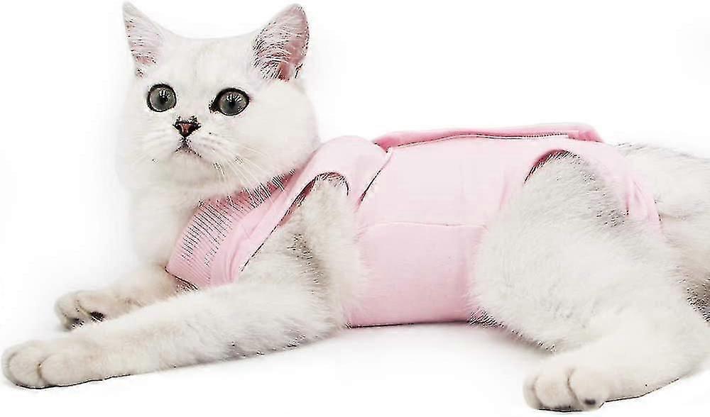Female Cat Sterilization Suit