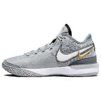 Nike Zoom LeBron Nxxt Gen 'Wolf Grey Metallic Gold' DR8784-004