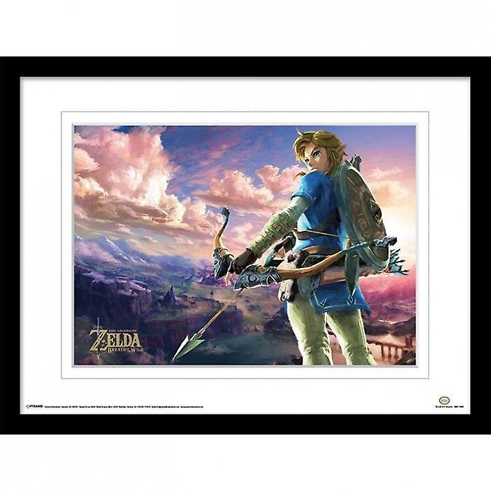 The Legend Of Zelda Breath Of The Wild Framed Print