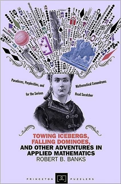 Towing Icebergs Falling Dominoes And Other Adventures In Applied Mathematics by Robert B. Banks Paperback Book