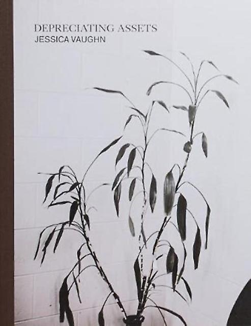 Depreciating Assets by Jessica Vaughn Paperback