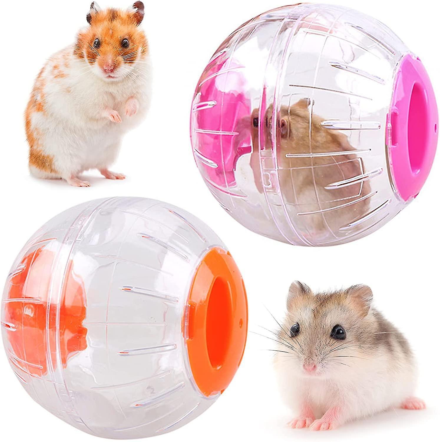 2 Hamster Ball Transparent Cute Hamster Ball Hamster Exercise Ball