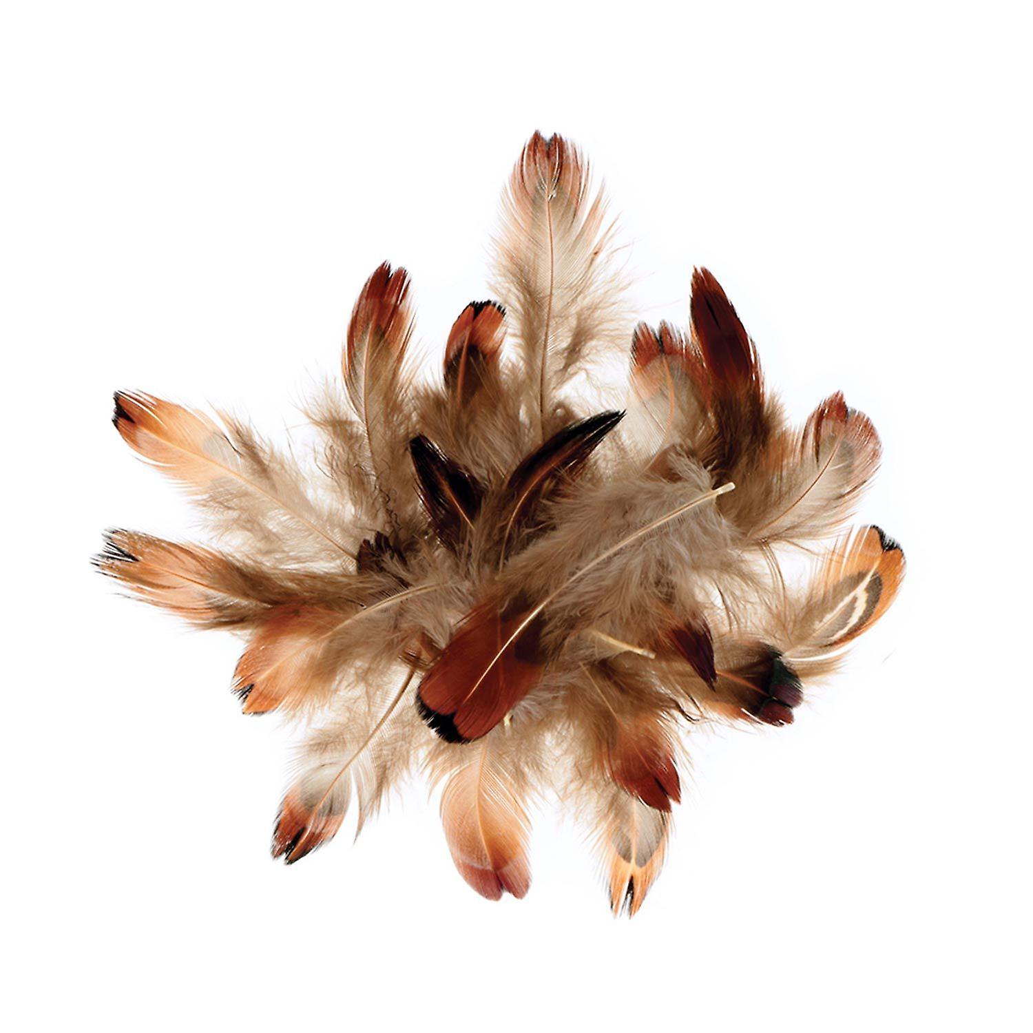 Pheasant Feathers 3-5 cm - 3g