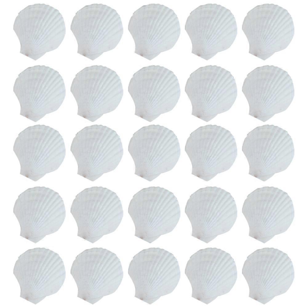 25Pcs Natural Scallop Shell, for Handmade DIY Production Handmade DIY Coloring Shell