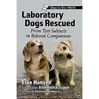Laboratory Dogs Rescued From Test Subjects To Beloved Companions - Ellie Hansen