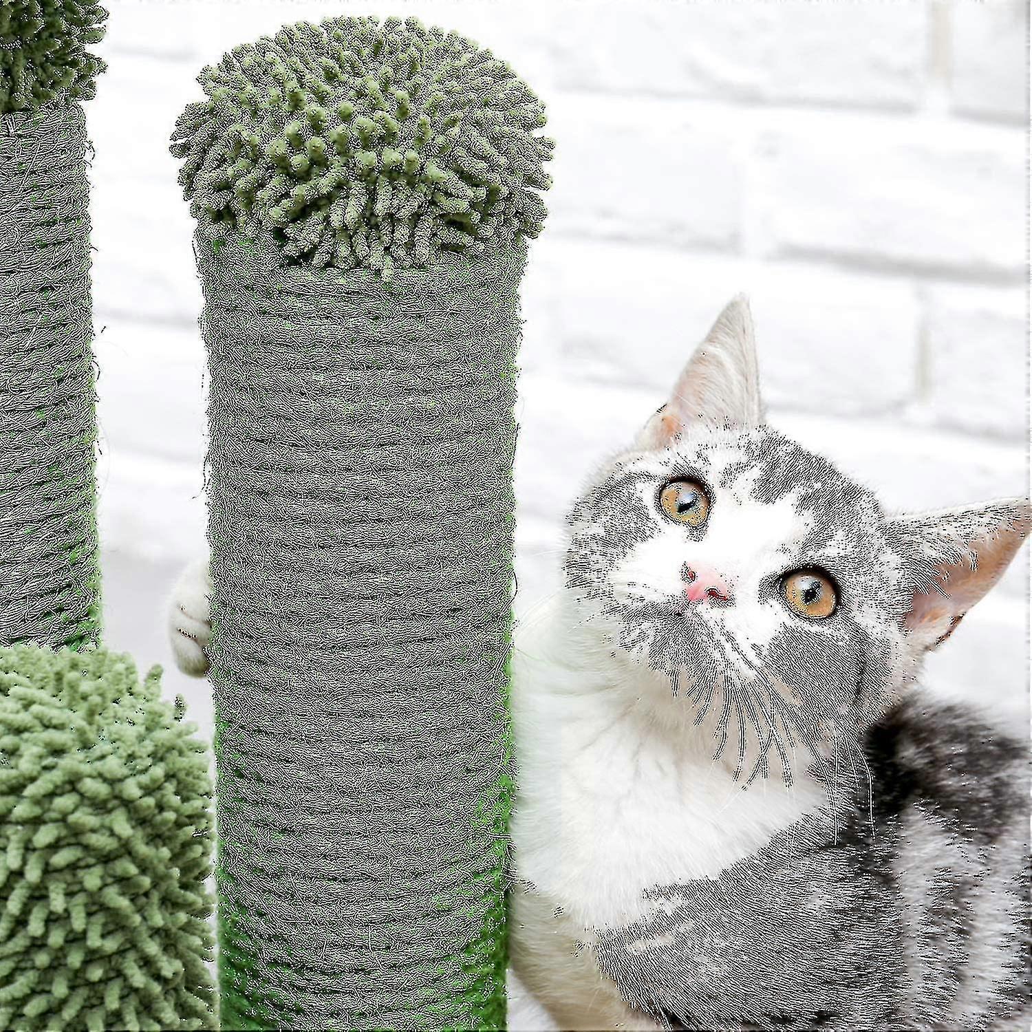 Cat Scratching Post Cactus Cat Scratcher Featuring Con 3 Scratching