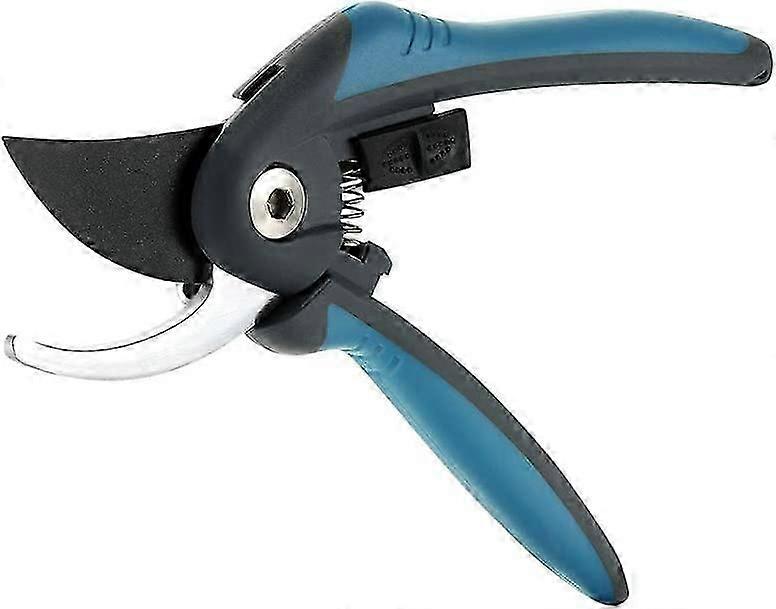 Professional secateurs with SK-5 steel blade and locking mechanism for stems and flowers. Blue