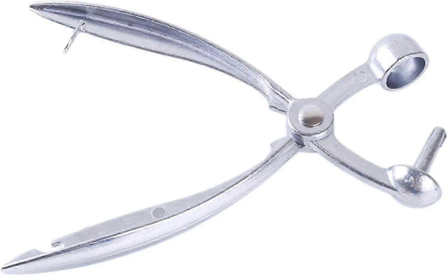 Portable Cherry Pitting Tool Multifunctional Fruit Utensils For Cherry Red Dates,Silver