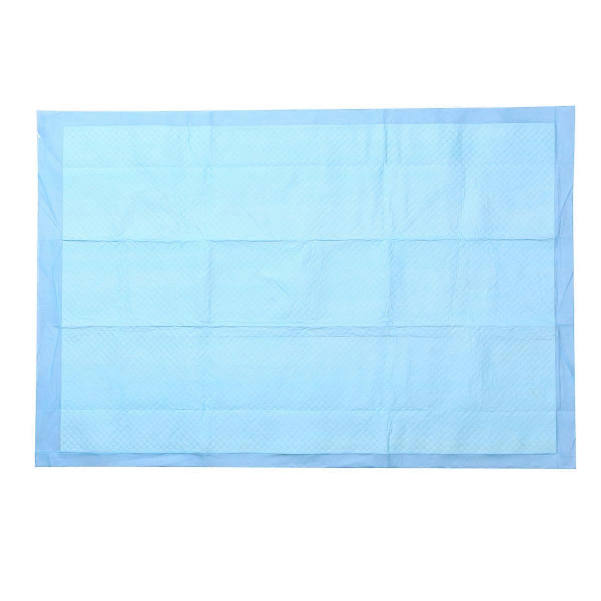 Extra Large Super Absorbent Reusable Puppy Pads for Dog Training Diapers Quick Dry Indoor Use Travel Pet Cages