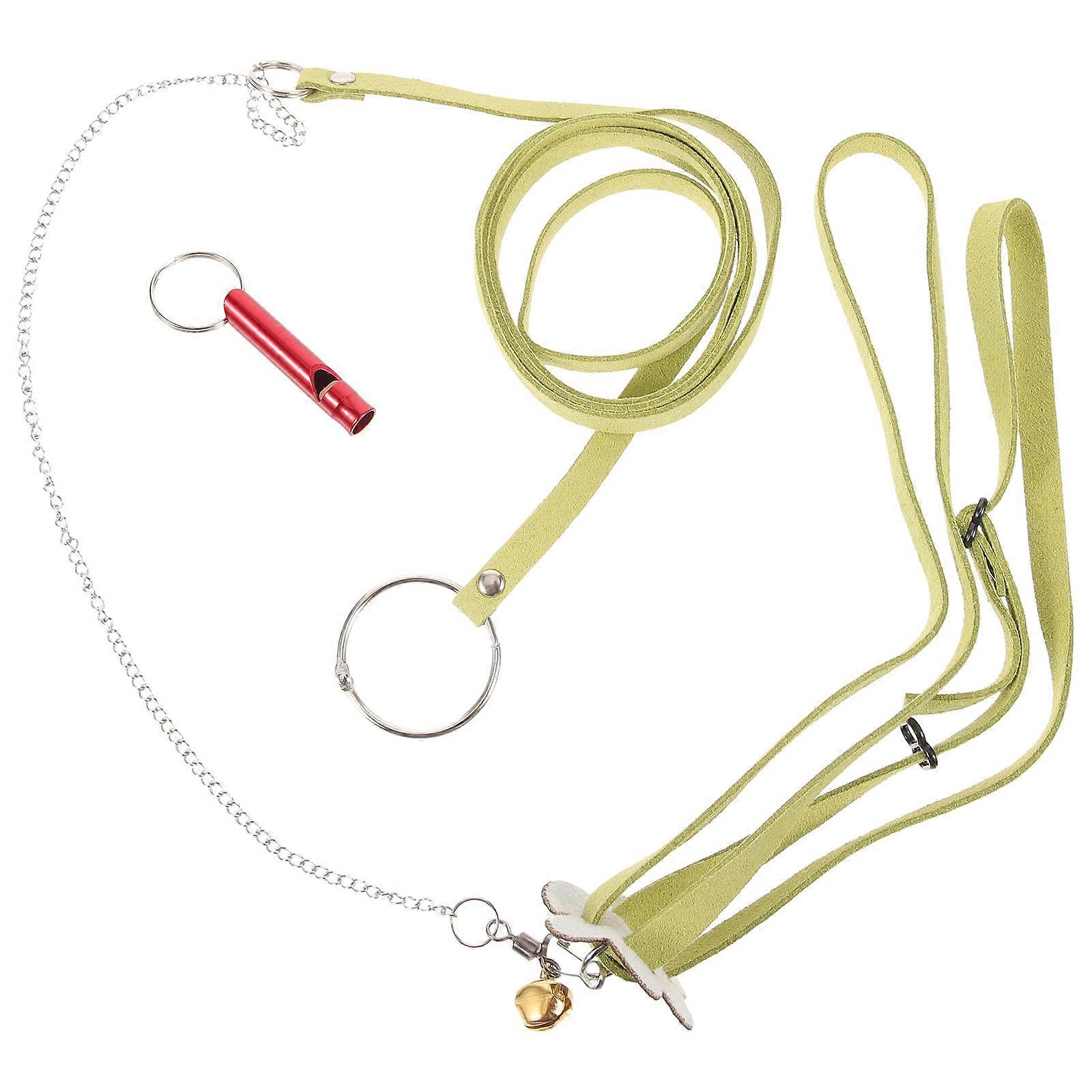 Practical Turtle Walking Leash with Harness for Outdoor Use 3Pcs