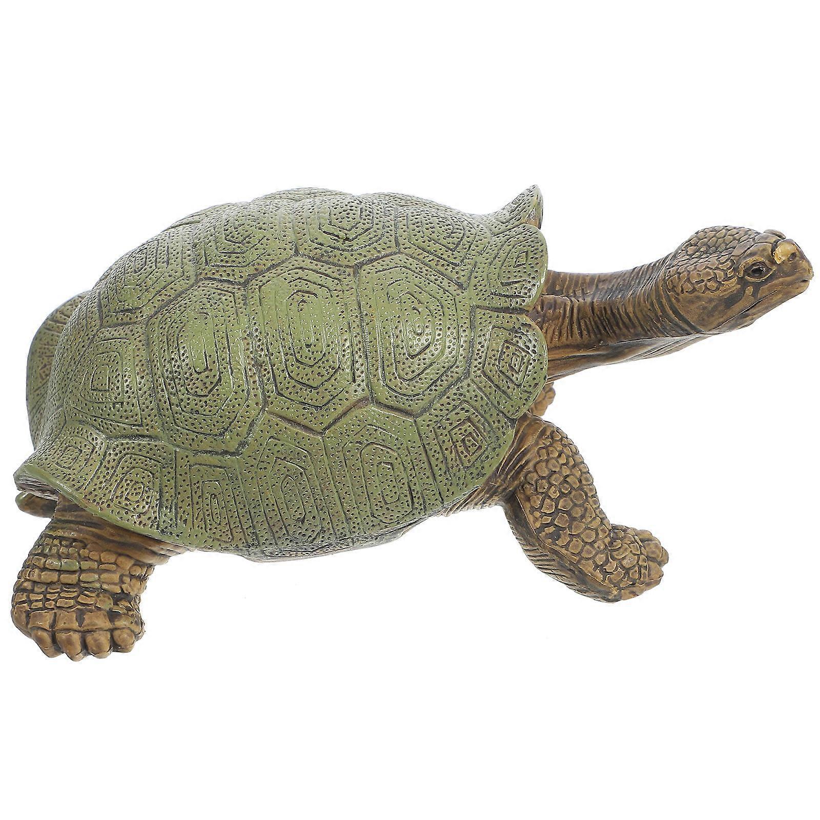 Simulation Turtle Figure Educational Toy For Children 5Pcs Light Brown Realistic Turtle Shaped Home Decoration