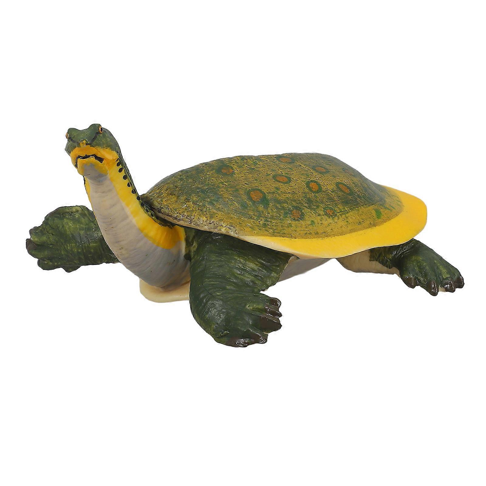 Realistic Turtle Model Plastic Figurine for Decoration 5Pcs Set