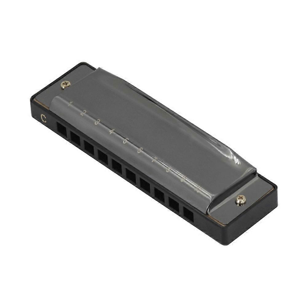 Black Blues Harp Harmonica 10 Holes for Beginners 2Pcs with Box