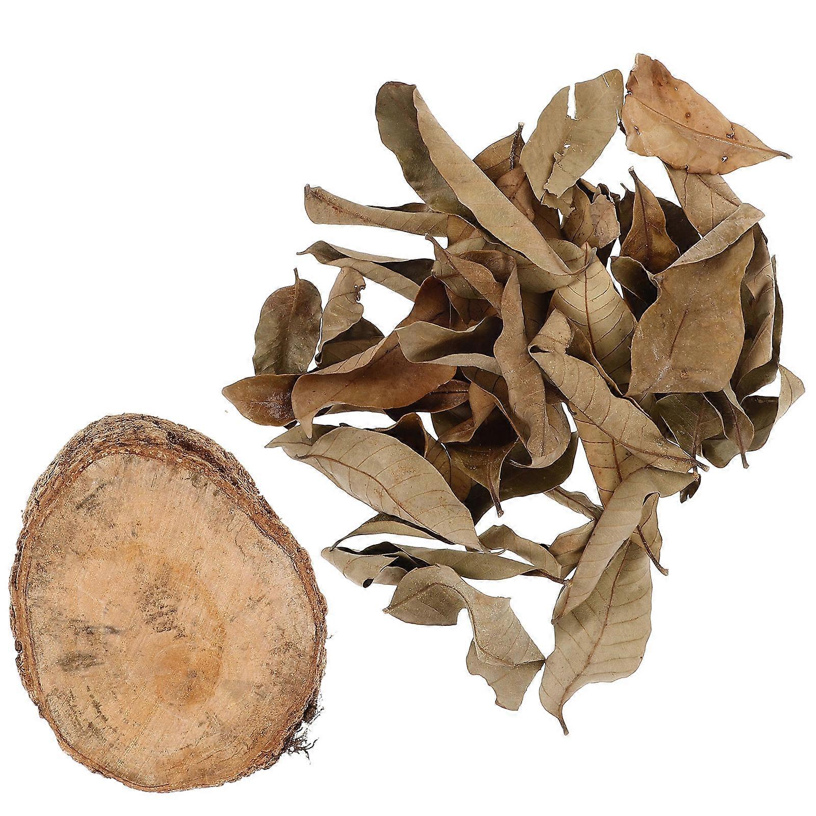 Wood Turtle Basking Platform with Dried Leaves for Small Pets Multi-functional and Easy to Clean