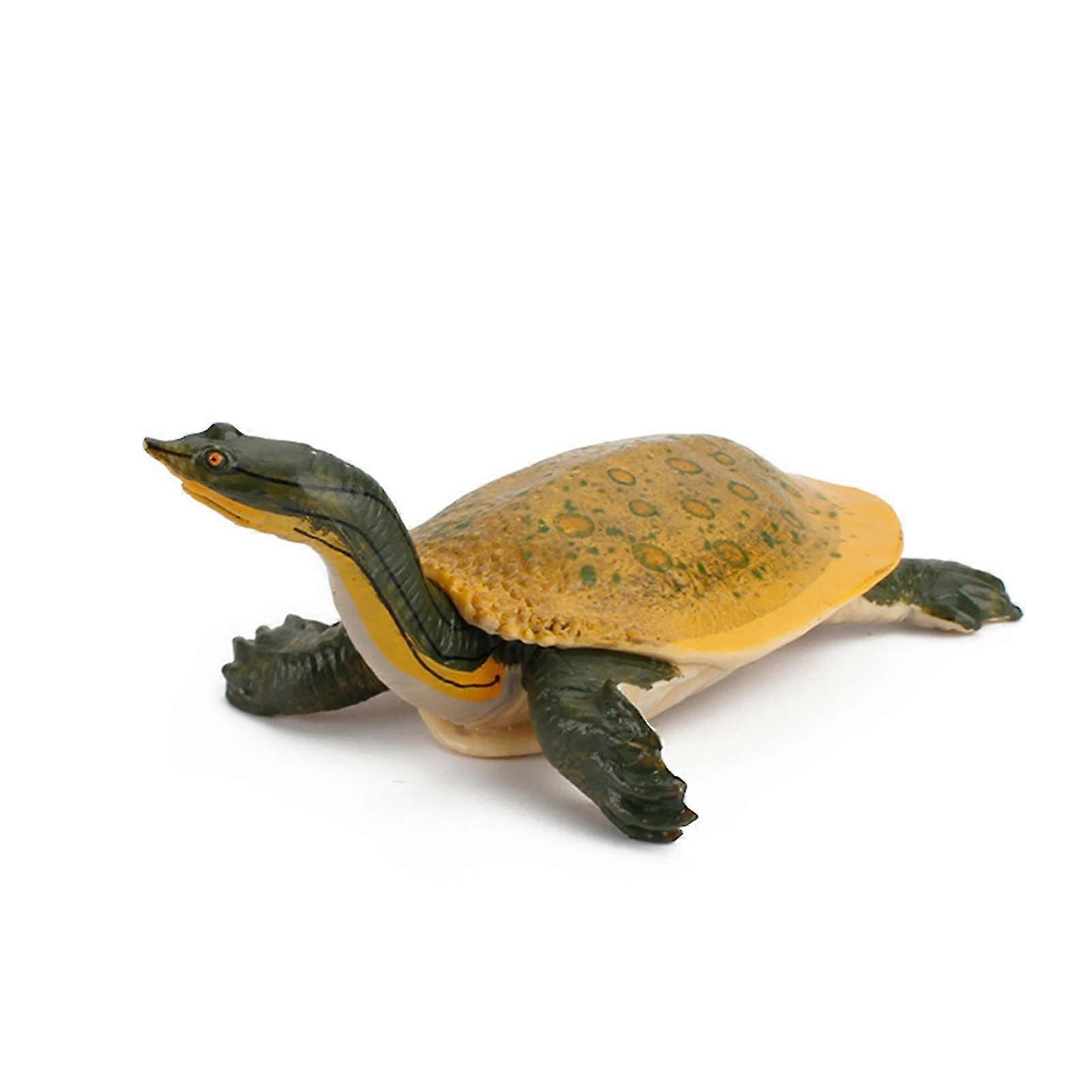 Animal Simulation Tortoise Desktop Ornament Kid Present Educational Model Doll