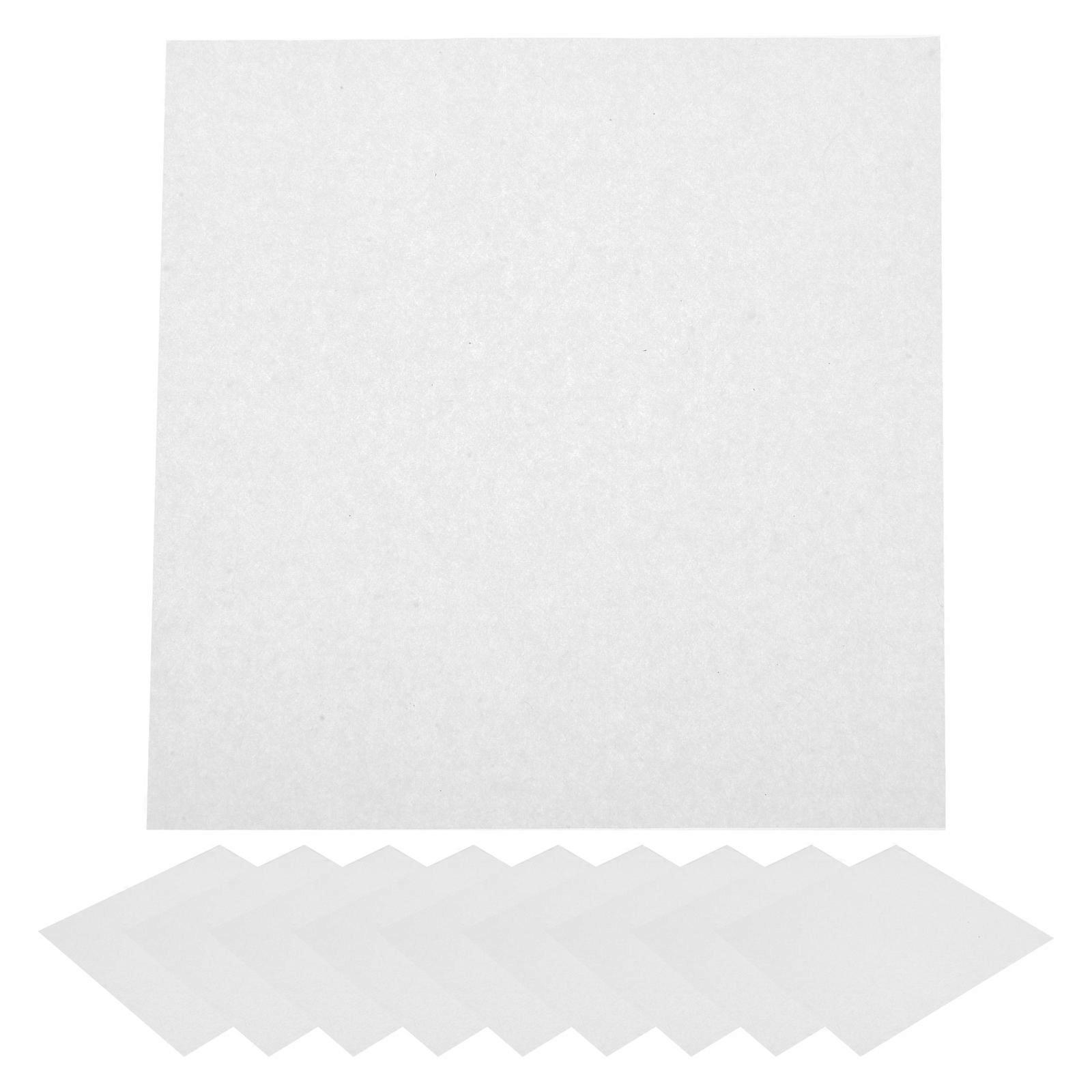 Läskpapper Blompressning för DIY 10 st pressblommapåfyllningspapper