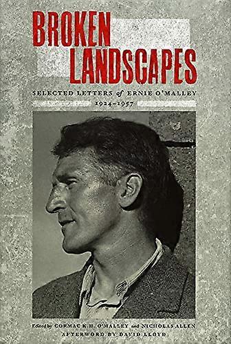 Broken Landscapes