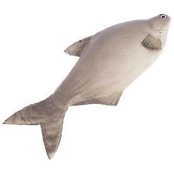 PU-Fischmodell für Dekorationszwecke, realistische Fischsimulation, mehrfarbig