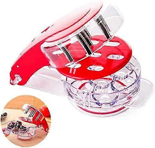 Olive Stone Kitchen Extractor, Fruit Seed Kernel Core Tool for 6 Cherry Grape Cranberries (1)
