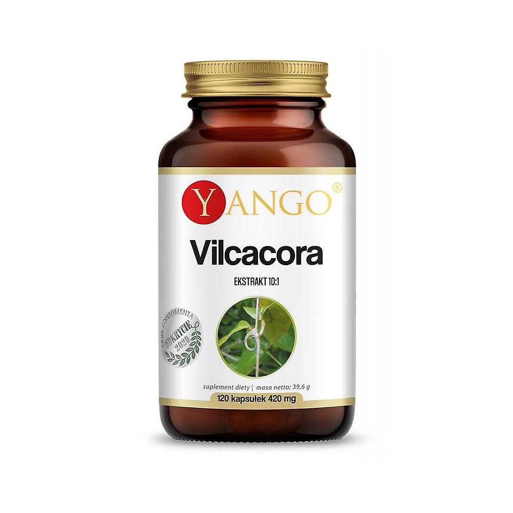 Yango Vilcacora BI2765