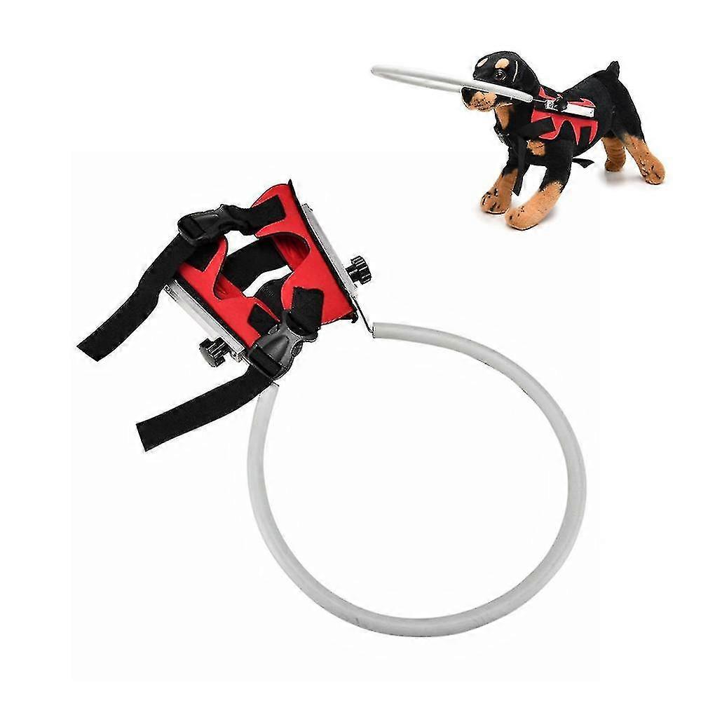 blind dog harness guiding device, anti-collision ring for blind dog red(l)