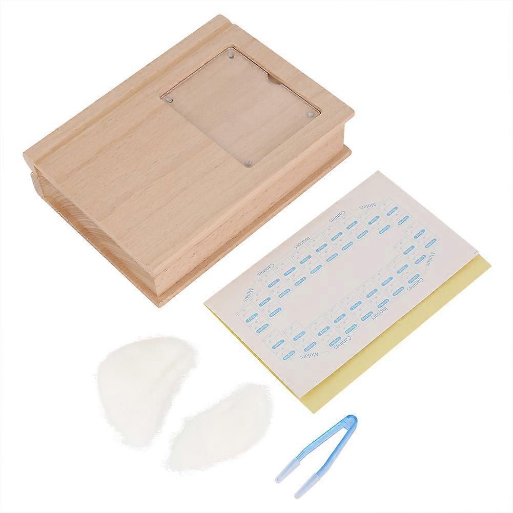 Tooth Collection Box for Deciduous Teeth, Keepsake Dental Box for Children, Durable Material, Elegant Design, Blue Color