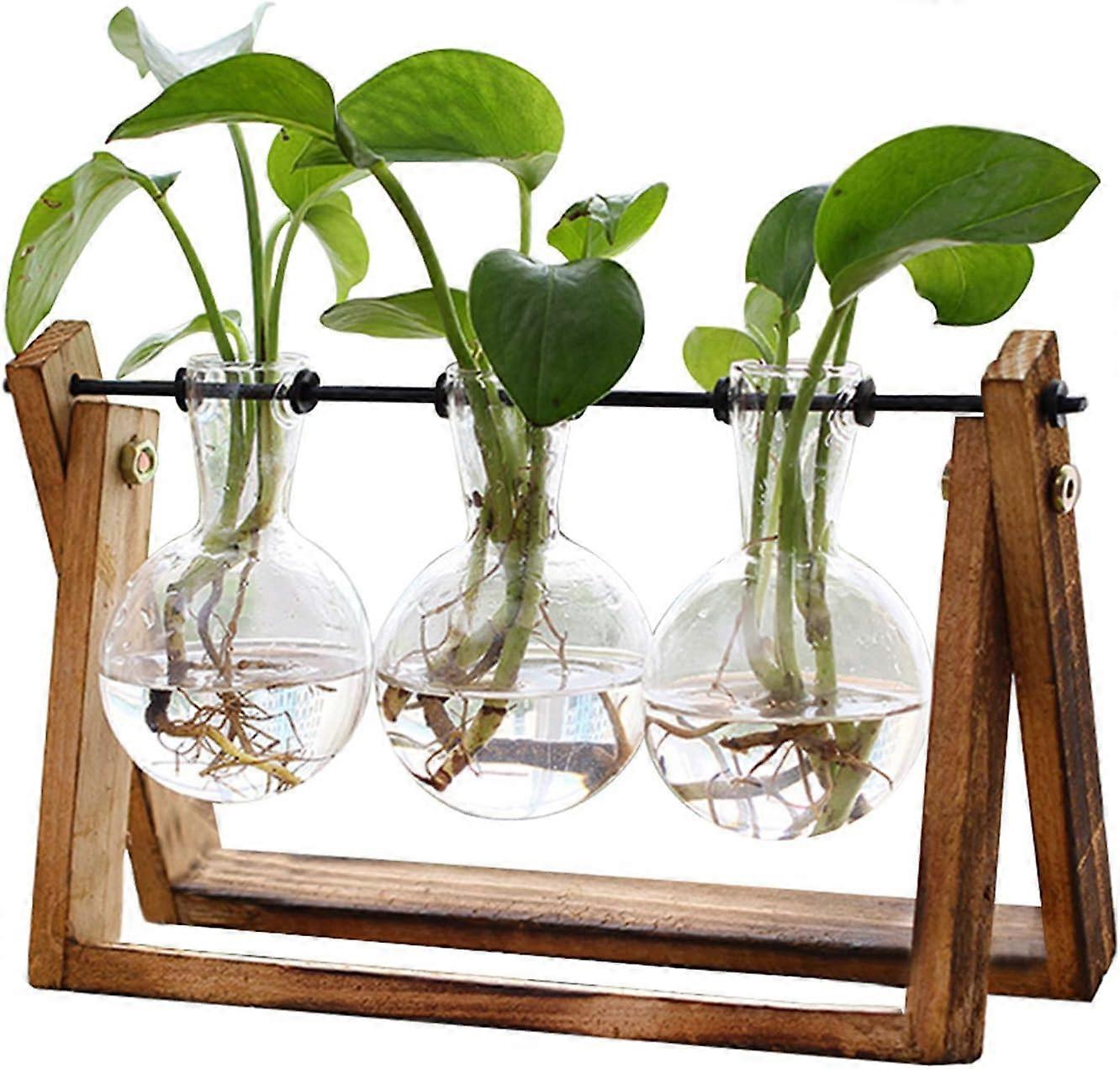 Hydroponic Propagation Station Elegant Simple