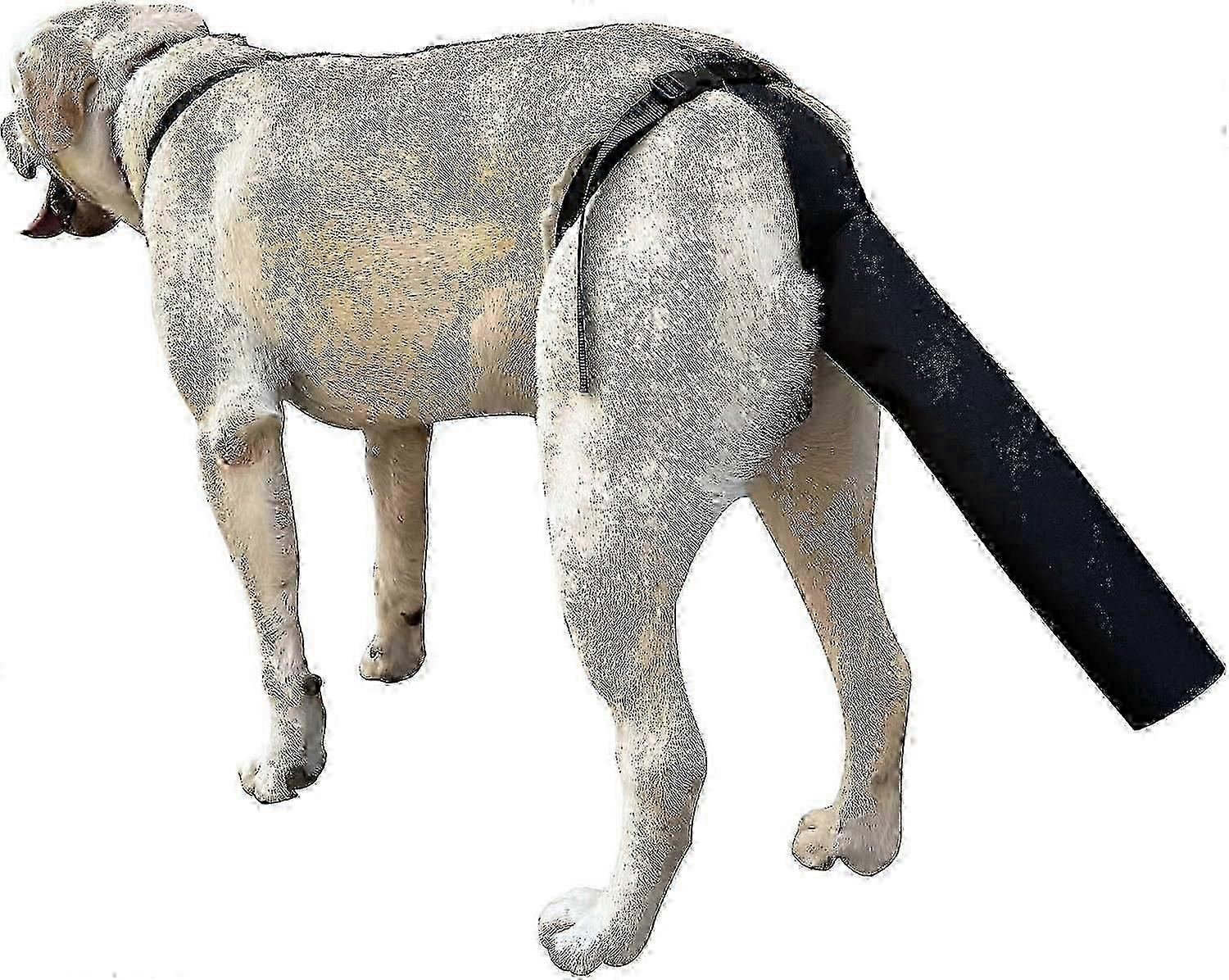 الذيل حامي ، الذيل الحرس غطاء الذيل للجروح تسخير الأسود