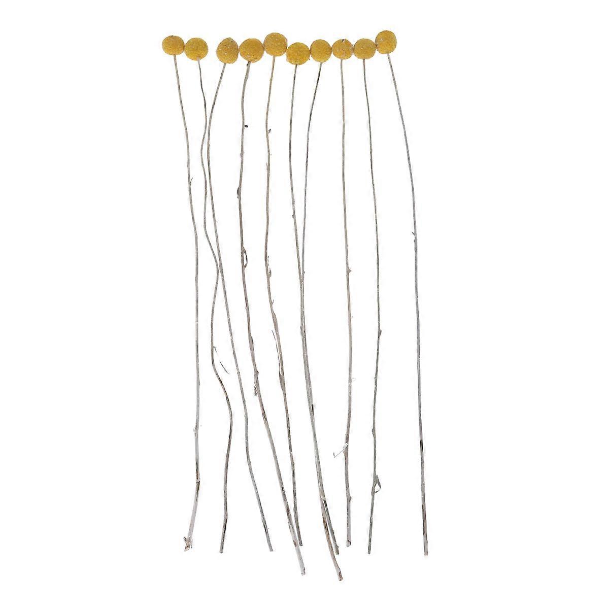 Wedding Mini Dried Flower Bouquet Dried Flower Branch Home Decor Middle Size present 10Set