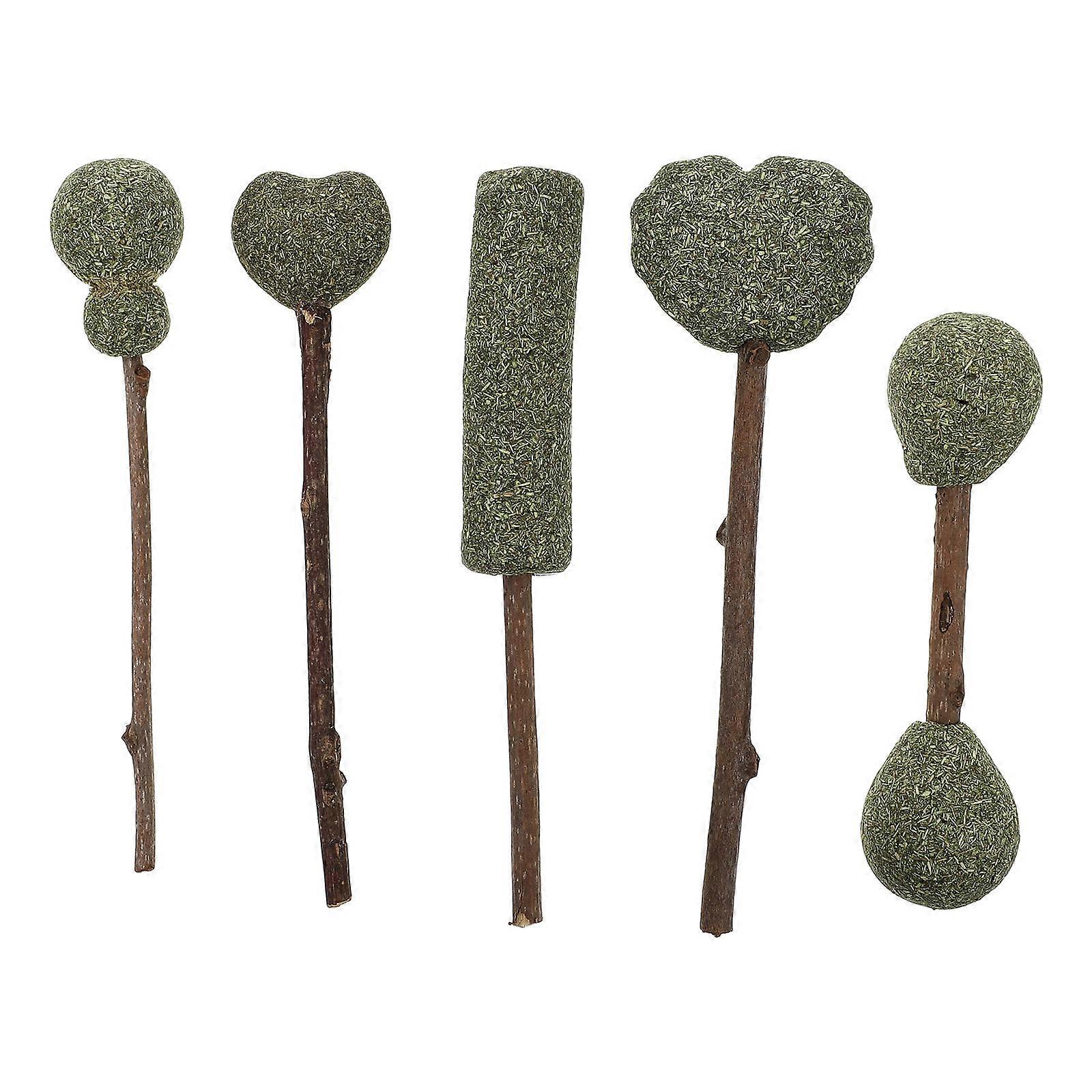 5pcs Natural Catnip Lollipops for Cats – Edible Snacks to Encourage Tongue Movement, No Additives, Assorted Styles