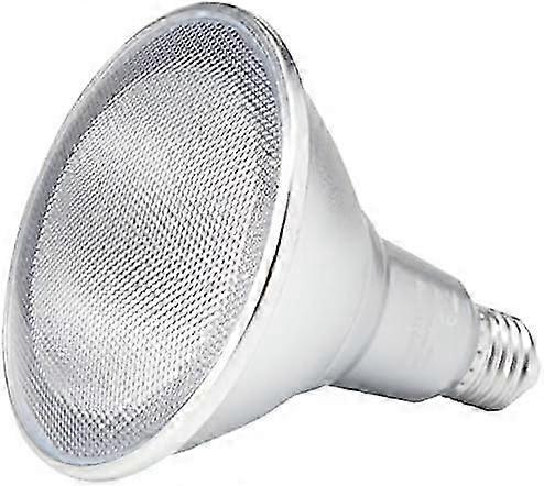 照明 PAR38 16W IP65 LED E27 150 W ハロゲン ランプに相当、3000 K、ウォーム ホワイト - グッド