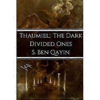 Thaumiel The Dark Divided Ones - S. Ben Qayin - Paperback - en Book