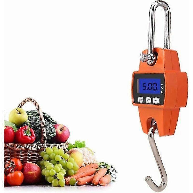 Portable Digital Crane Ladder with LCD and Hook, Supports Up to 300kg for Various Uses