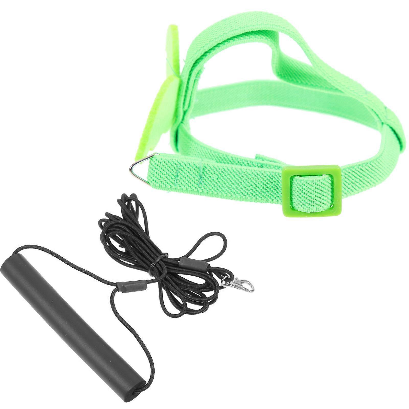 Bird Training Harness Leash Parrot Flying Rope 4Sets Kit