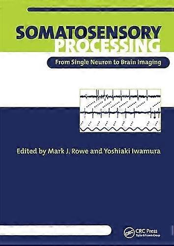 Somatosensory Processing From Single Neuron to Brain Imaging
