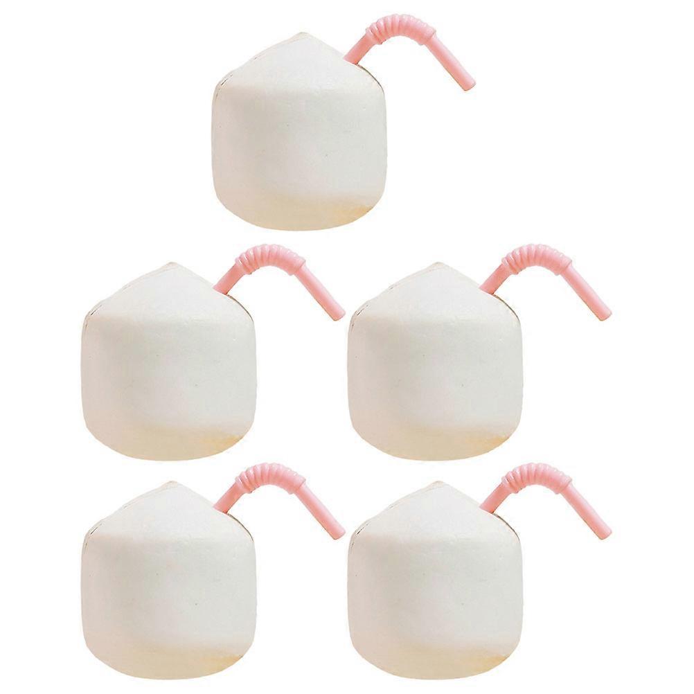 Mini Simulation Coconut Model for Decoration 5Pcs Resin Artificial Coconuts