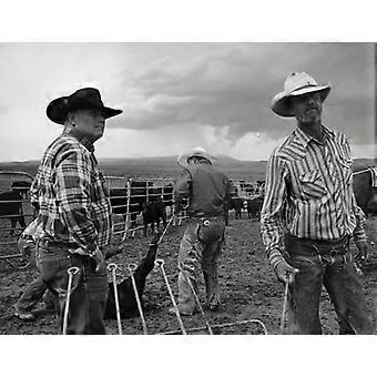 Open Range: Amerikan isokokoinen cowboy
