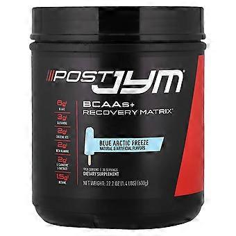 JYM Supplement Science, BCAAs + Recovery Matrix, Blue Artic Freeze, 22 oz (630 g)