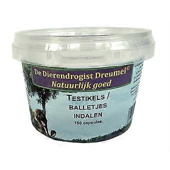 Testicular Capsules for Indalen 150 St from Animal Drugstore