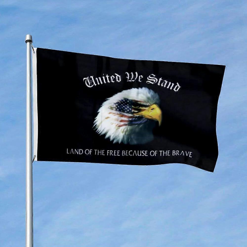 Eagle American Flag YF0149