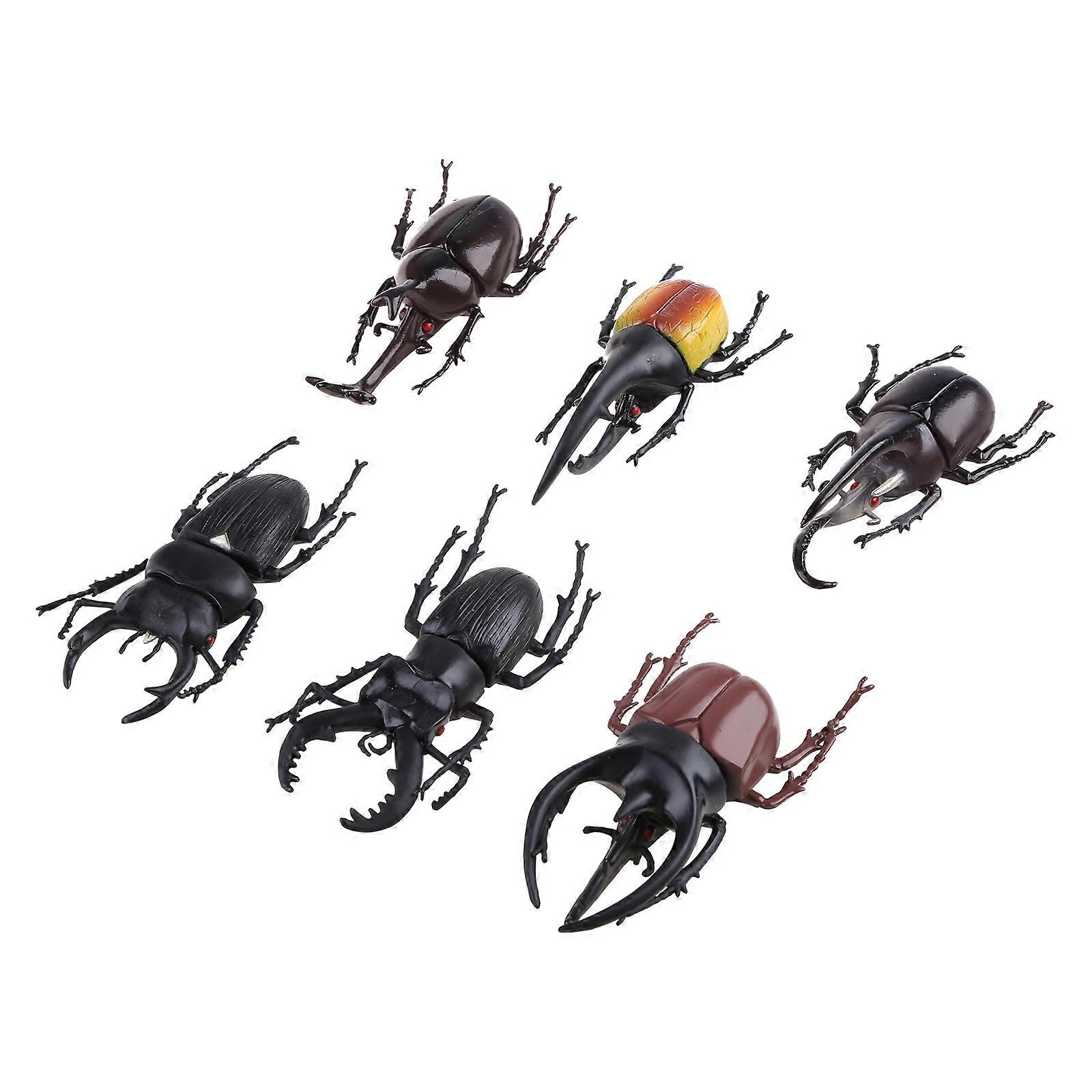 6pcs/set Simulation Solid Static Insect Model Ornaments Realistic Beetle Toy